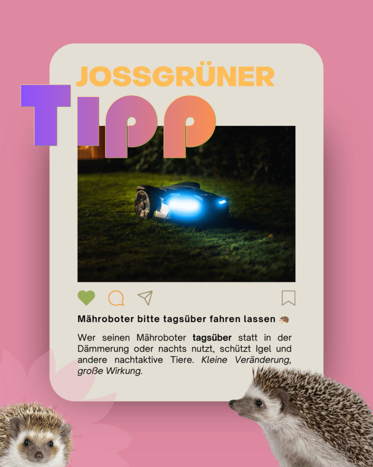 Mähroboter bitte tagsüber fahren lassen