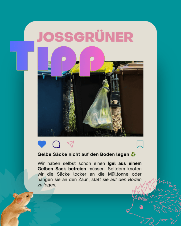 ♻️ Gelbe Säcke nicht auf den Boden legen
