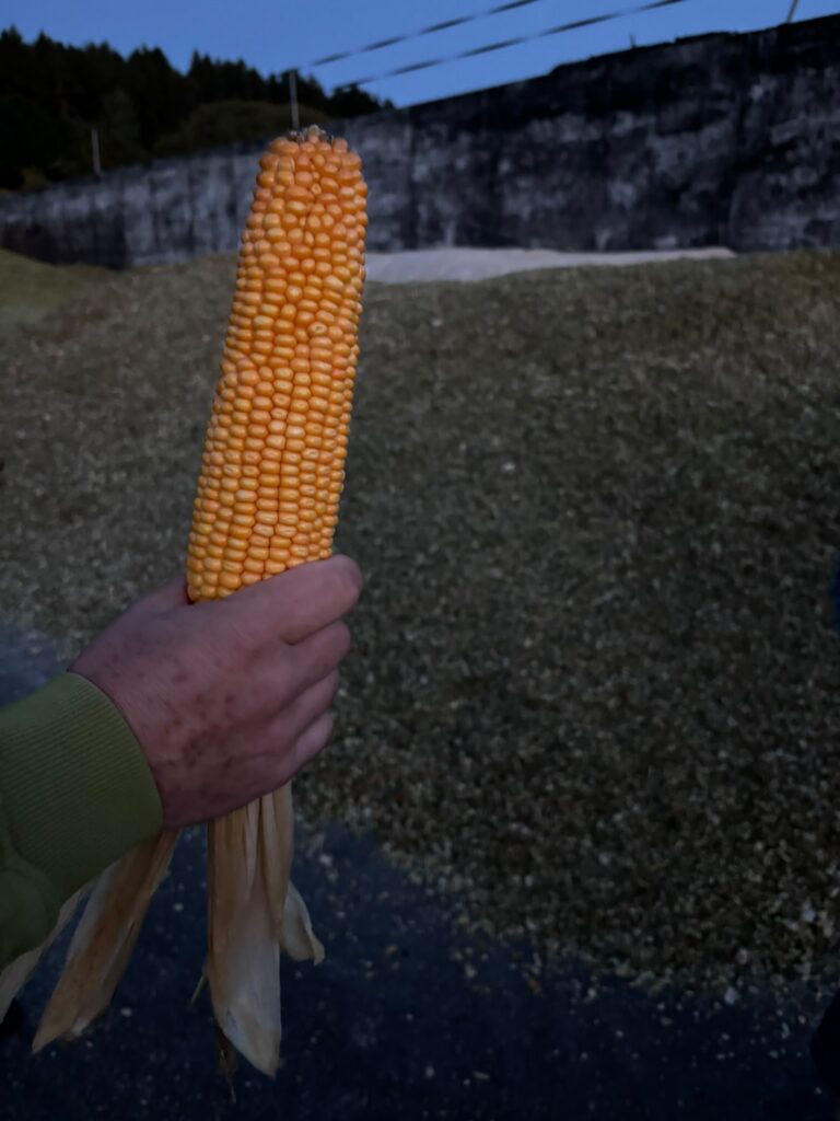 Unser Besuch in der Biogasanlage „BioKraft Burgjoß“ war einer, der nachwirkt. Oder besser: nachgärt. 😄